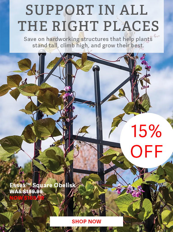 Support in All the Right Places | Save on hardworking structures that help plants stand tall, climb high, and grow their best. | 15% OFF- Essex Square Obelisk - WAS $199.99 NOW $169.99 - SHOP NOW