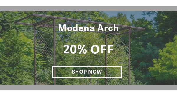 Modena Arch 20% OFF _ SHOP NOW