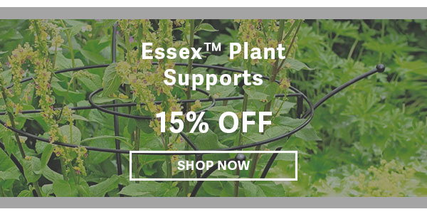 Essex Plant Supports 15% OFF SHOP NOW