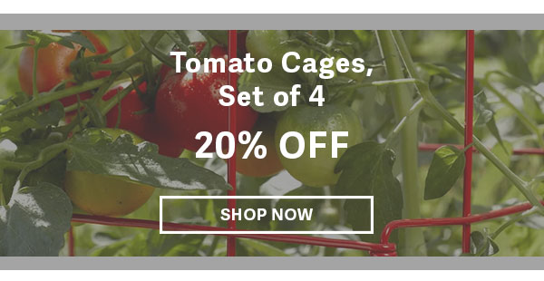 Tomato Cages, Set of 4 20% OFF - SHOP NOW