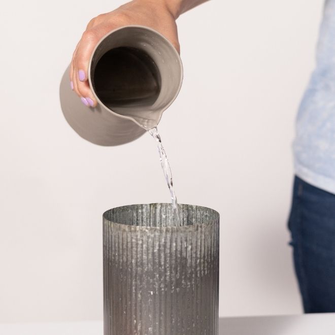 Changing water every other day or as often as you remember