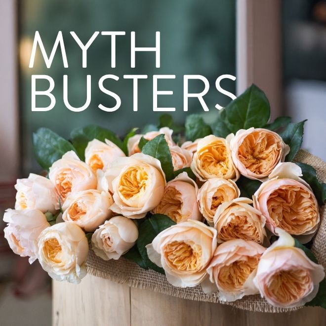 Send flowers to the Virgos in your life. Order now for next week's delivery.