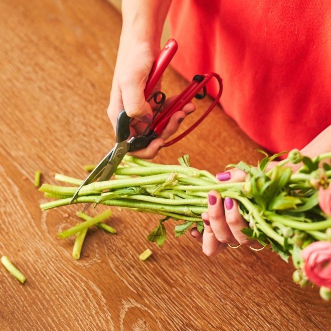 Trimming the stems of flowers when you change the water.