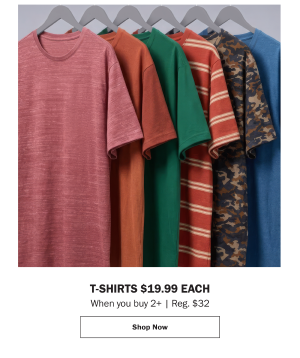 T-SHIRTS 19.99 EACH When you buy 2+ | Reg. $32