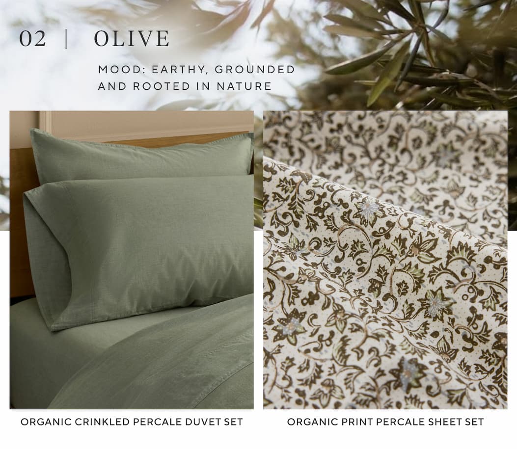 02 | Olive Mood: Earthy, grounded and rooted in nature Shop Olive >