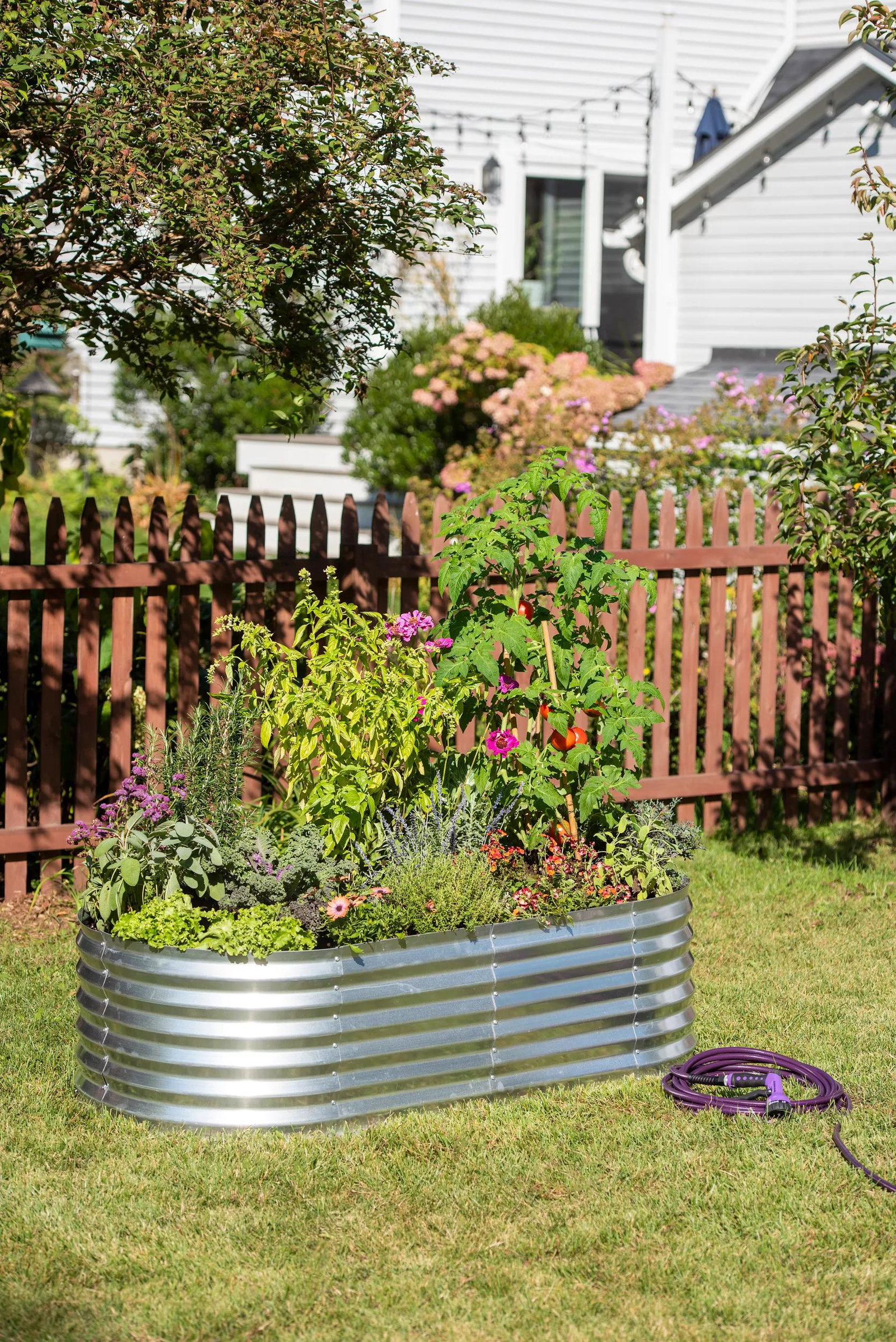 Image of Oval Metal Raised Bed