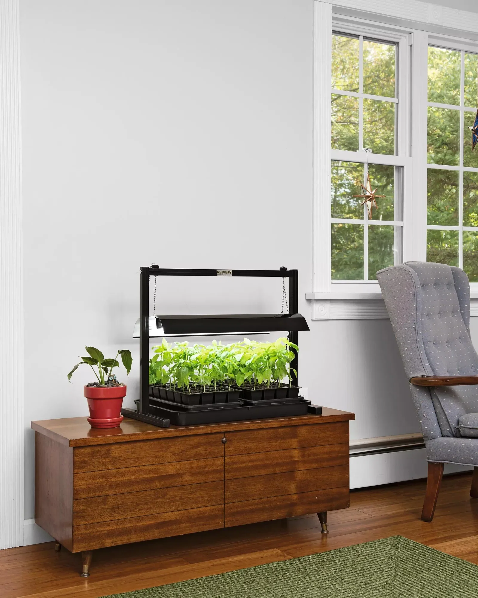 Image of LED SunLite®  Compact Tabletop Garden