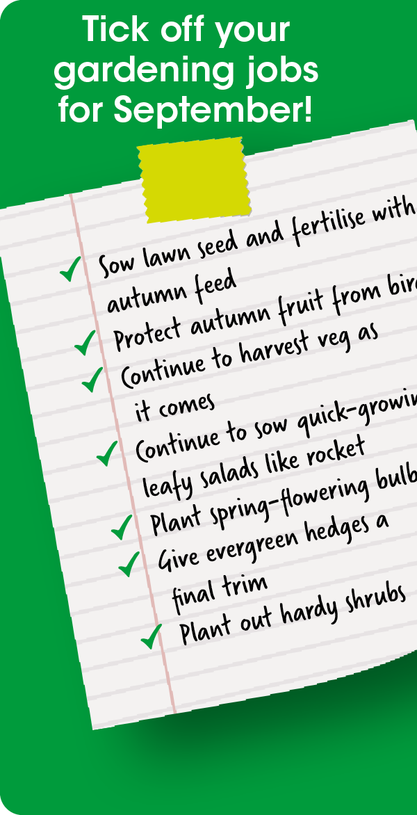 Tick off your gardening jobs for September