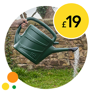 £19