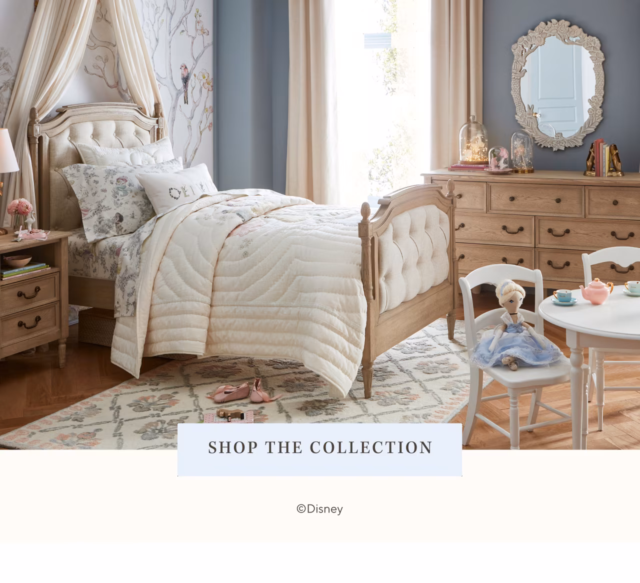 shop the collection