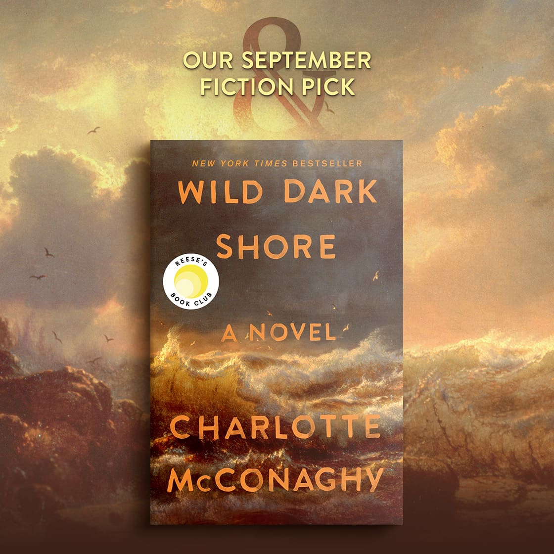 OUR SEPTEMBER FICTION PICK | Wild Dark Shore: A Novel (Reese's Book Club Pick) By Charlotte McConaghy
