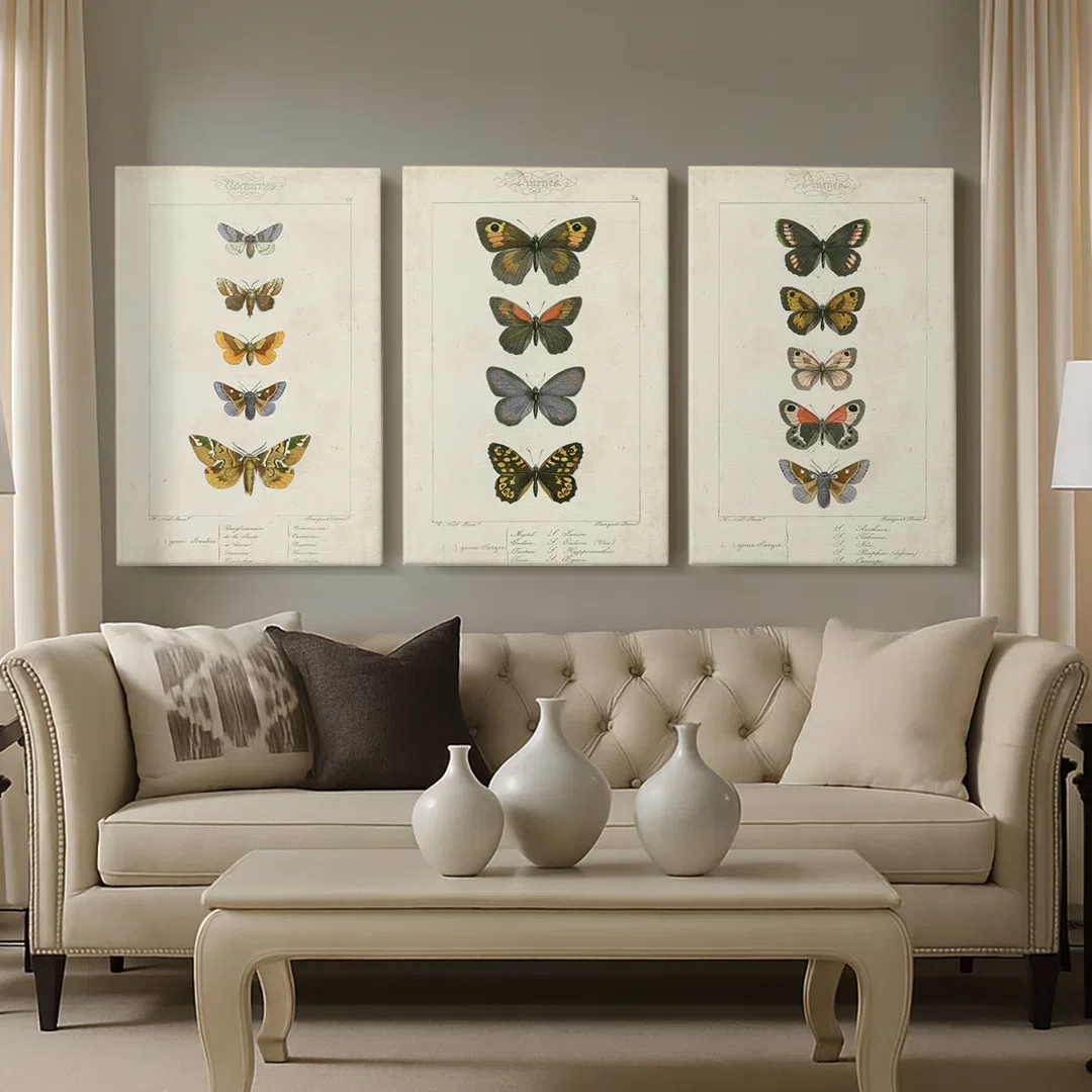 Pauquet Butterflies IV -Custom Wrapped Gallery Canvas - 3 Pieces