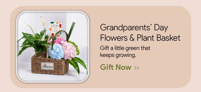 Leading UAE Florist for Gift and Flower Delivery
