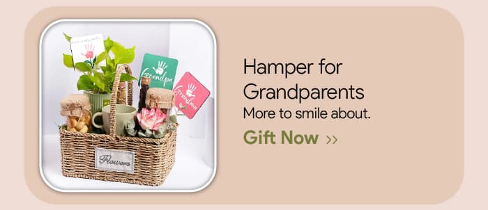 Leading UAE Florist for Gift and Flower Delivery