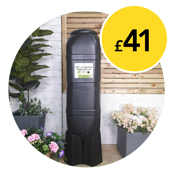 £41