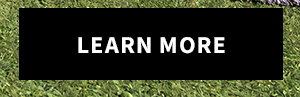 LEARN MORE