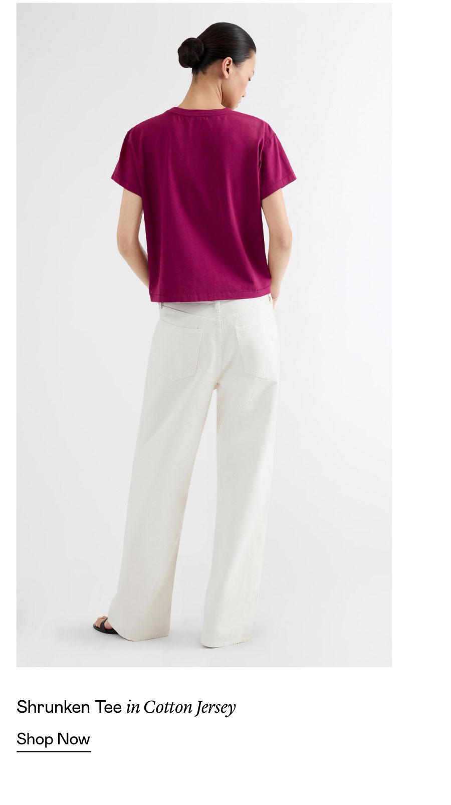 Shrunken Tee in Cotton Jersey