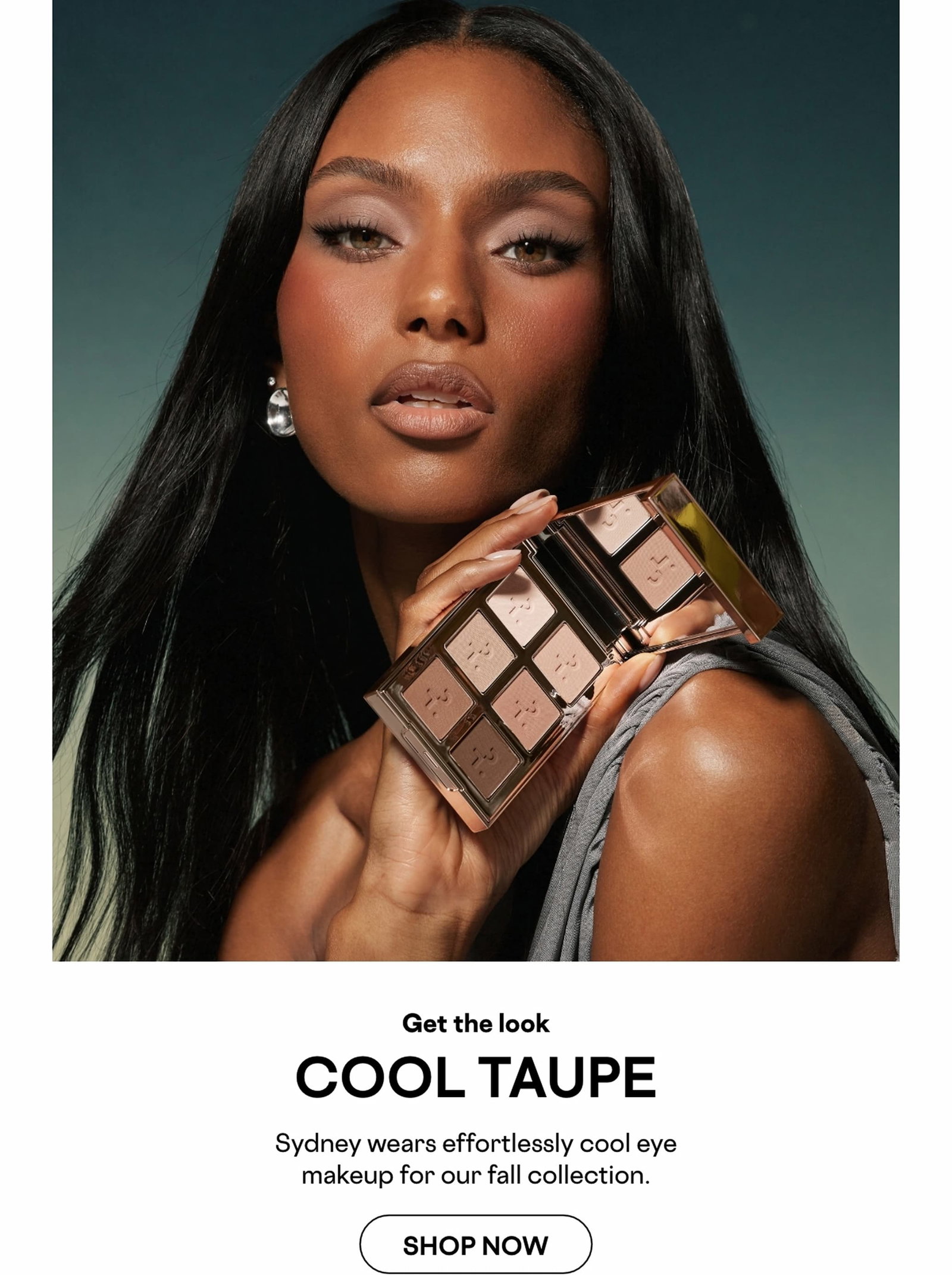 Get the Cool Taupe Look