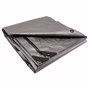 Bass Pro Shops Heavy-Duty Tarp - 10'L x 8'W