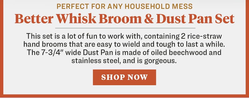 Dust Broom Set