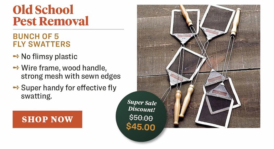 Fly Swatters