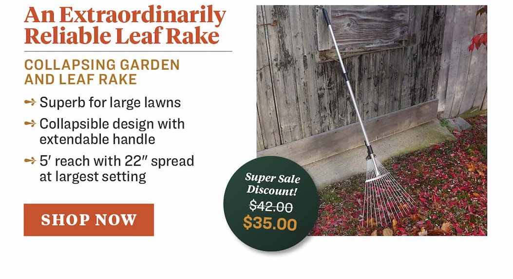 Leaf Rake