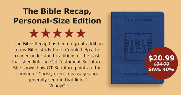 The Bible Recap, personal-Size Edition