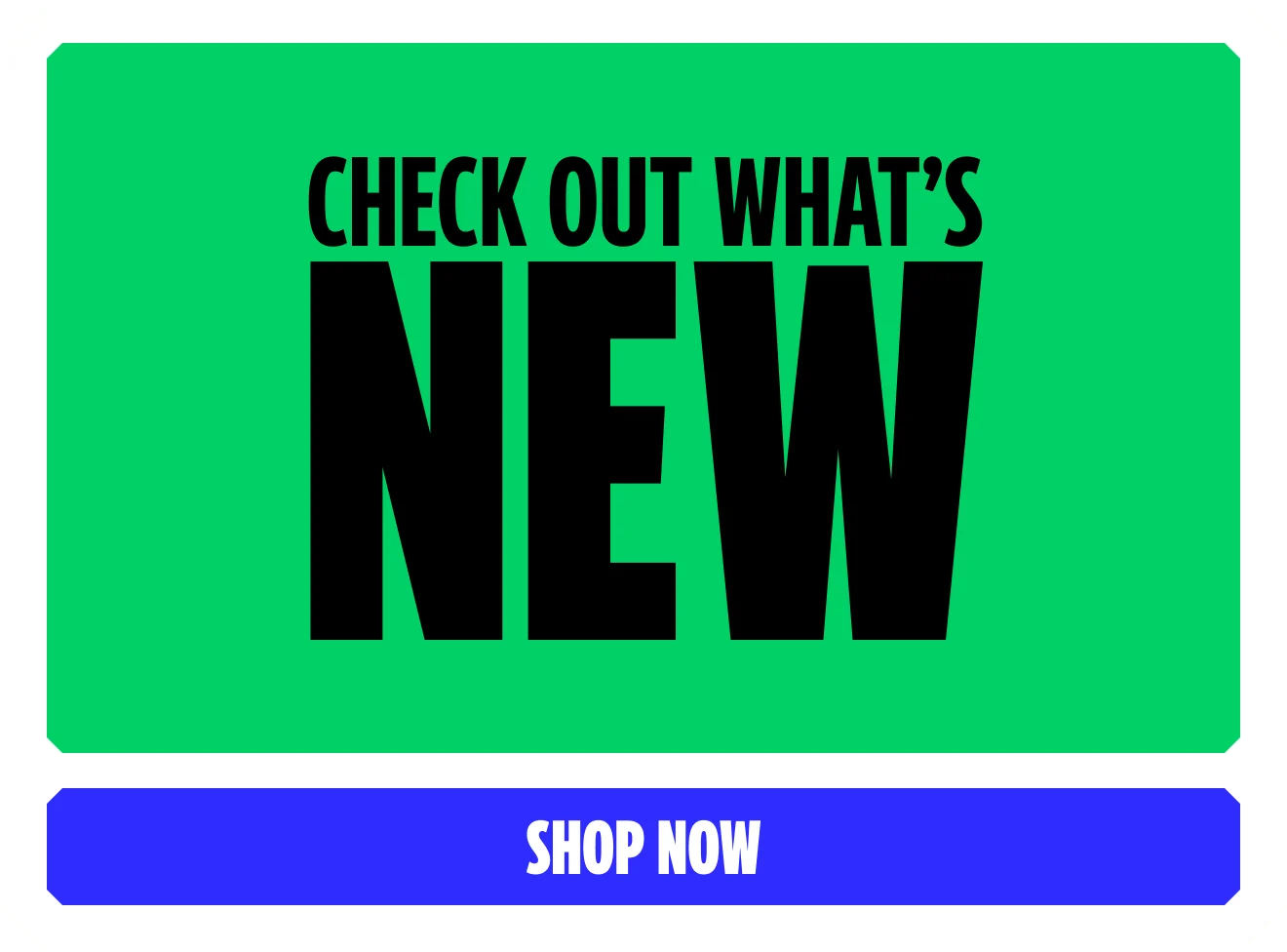 Check out what's NEW