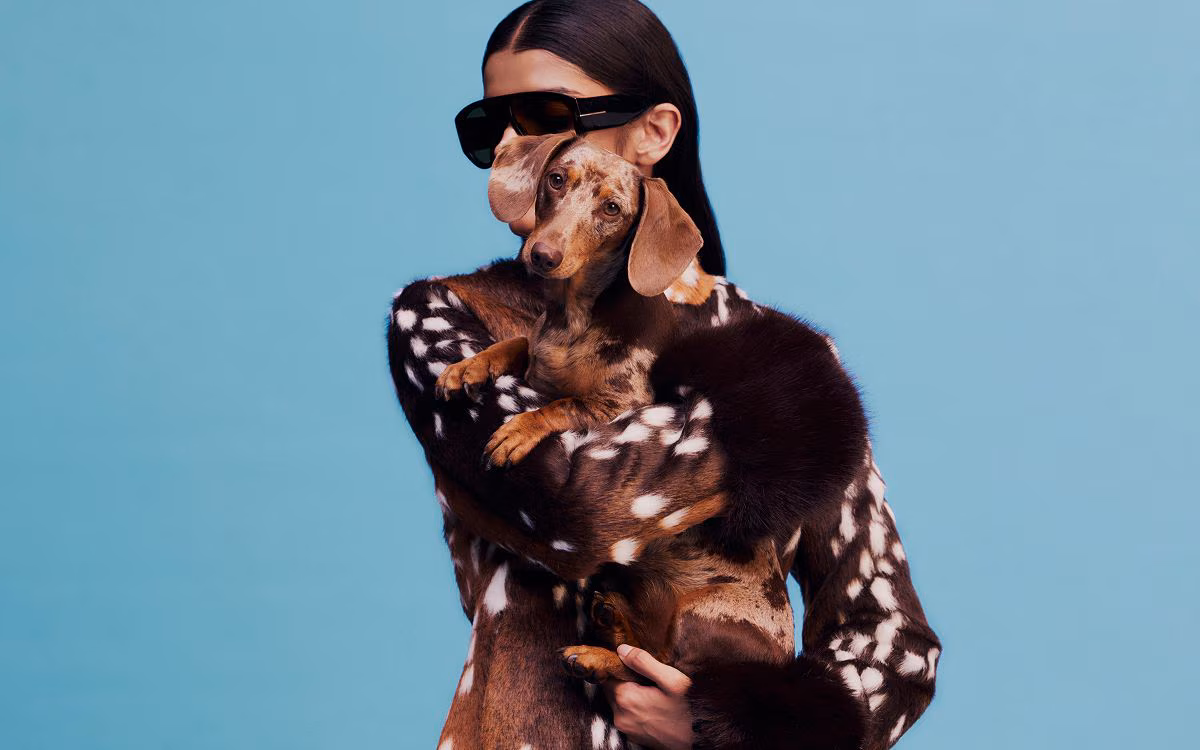 THE AW26 CURATION