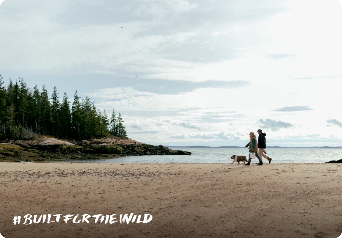Built For The Wild