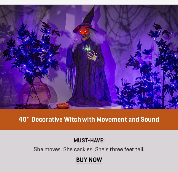 40'' Decorative Witch with Movement and Sound
