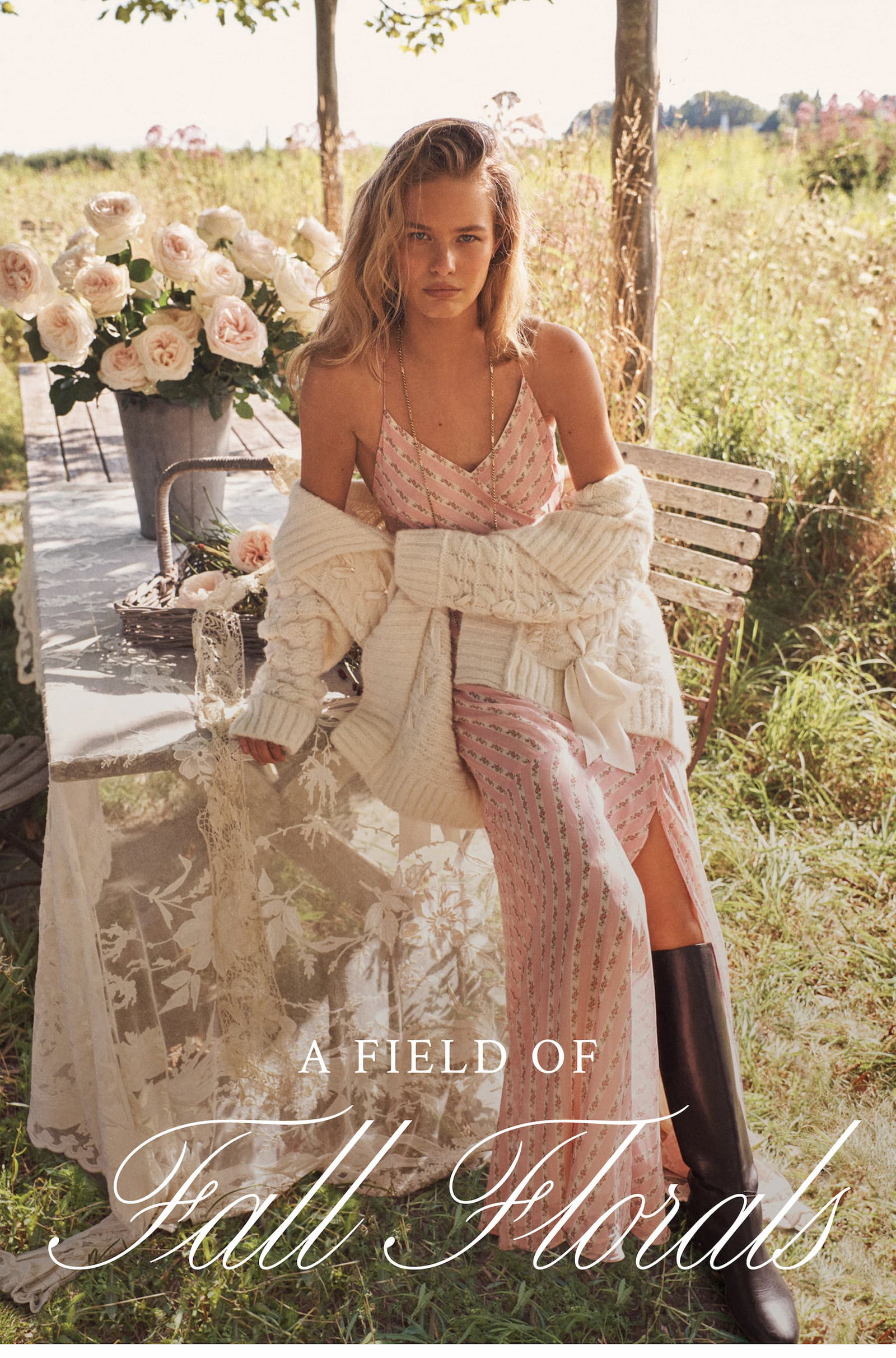 A FIELD OF FALL FLORALS