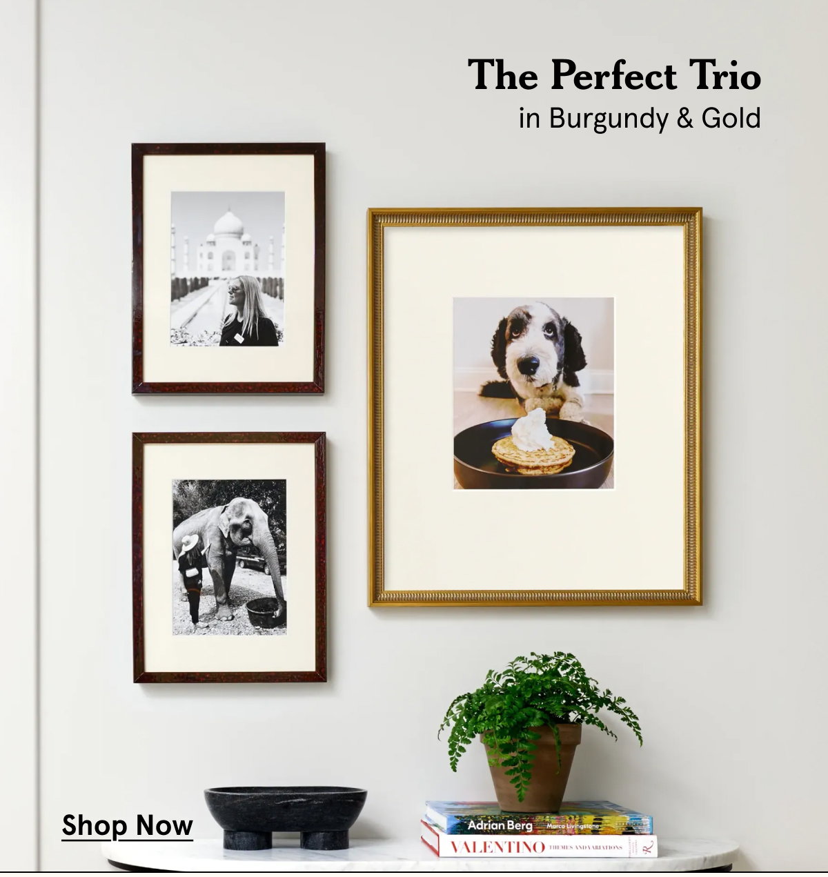 The Perfect Trio