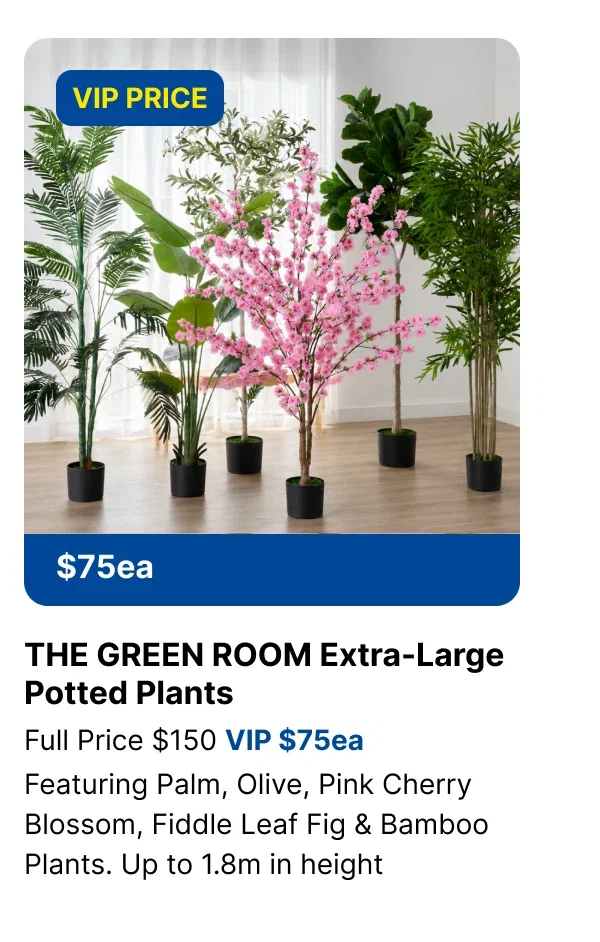 THE GREEN ROOM EXTRA-LARGE POTTED PLANTS