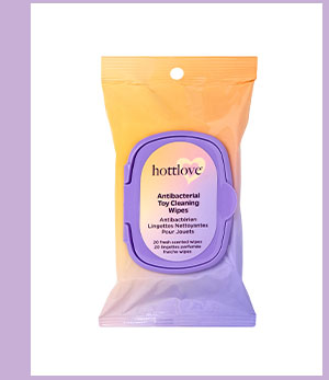 Antibacterial Toy Cleaning Wipes - Hott Love