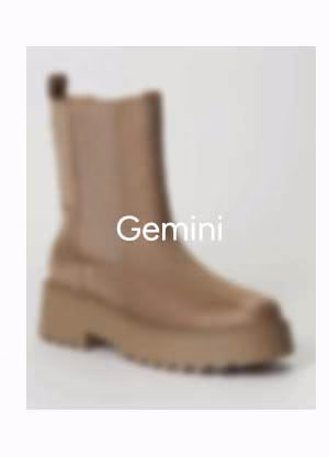 Gemini
