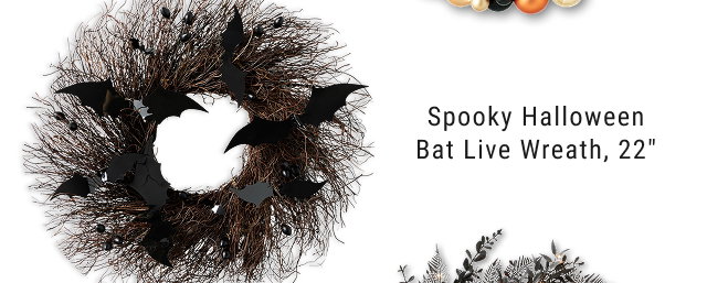 Spooky Halloween Bat Live Wreath, 22”