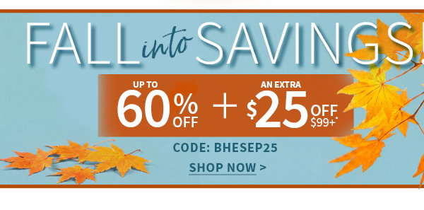 FALL INTO SAVINGS