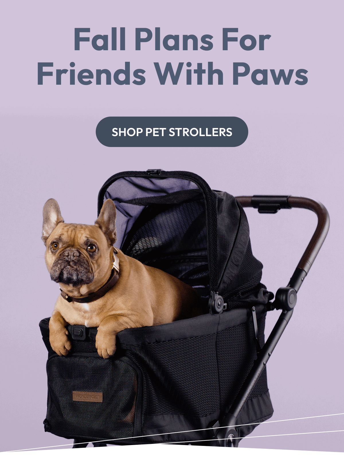 Fall Plans For Friends With Paws | Shop Pet Strollers 