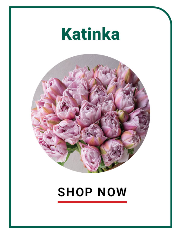 Katinka