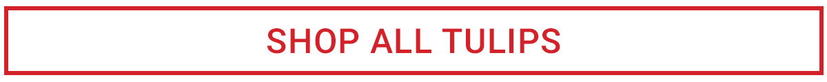 SHOP ALL TULIPS