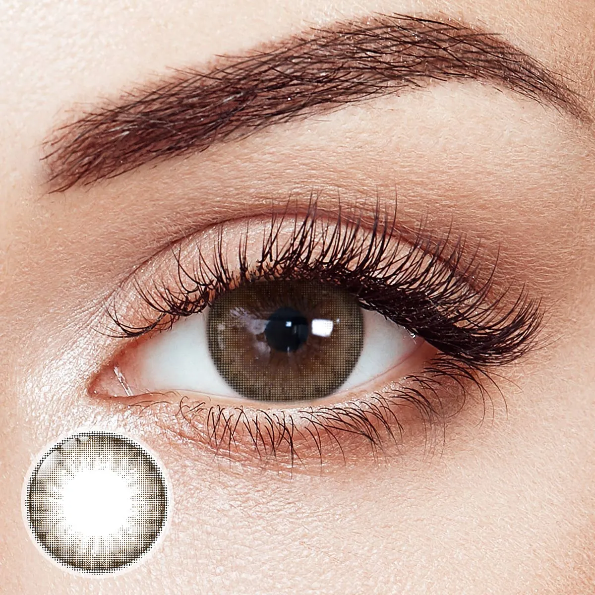 Garnet Brown Prescription 6 Months Contact Lenses | 2pcs