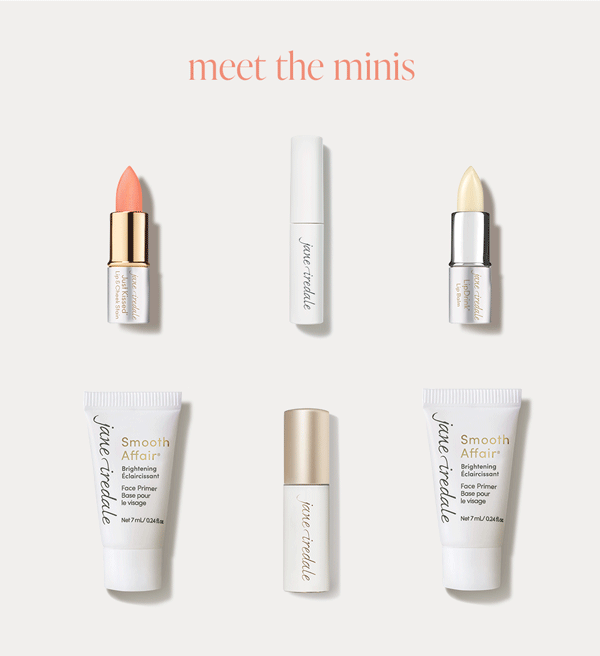 Meet the Minis