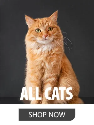 SHOP CAT RX