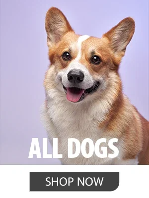 SHOP DOG RX