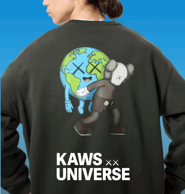 hero0kaws0and0universe