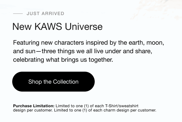 sub0kaws0and0universe0shop0collection