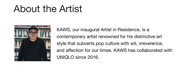 banner9kaws0about0artist