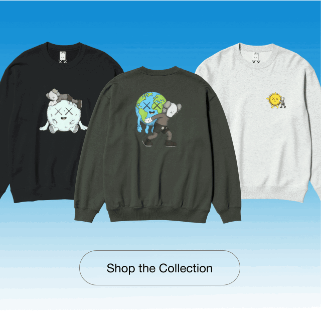 banner8kaws0shop0the0collection