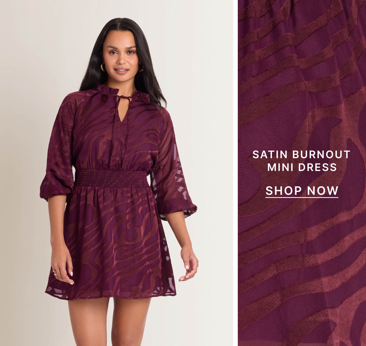 Satin Burnout Mini Dress